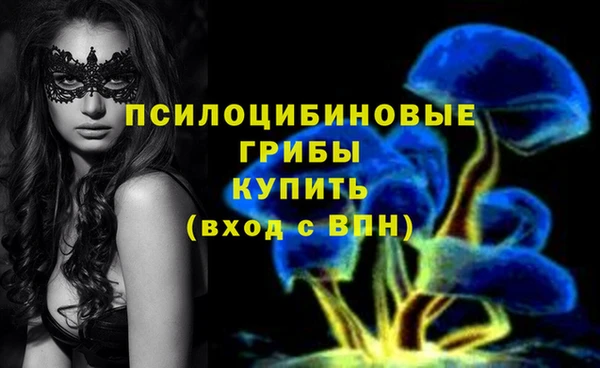 марки lsd Балабаново