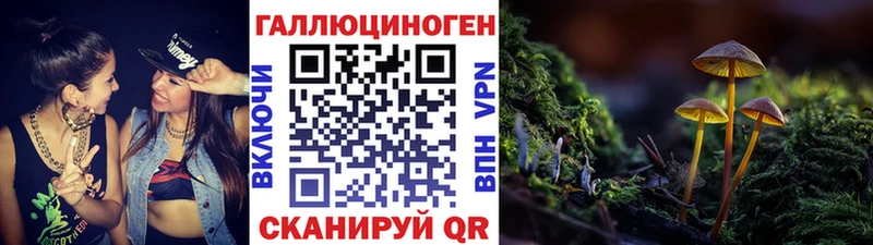 Галлюциногенные грибы прущие грибы  Купить где  Рославль 